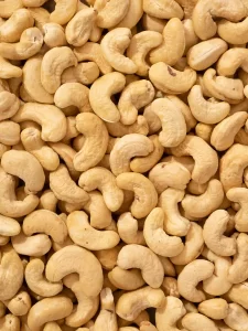 do cashews increase cholesterol?